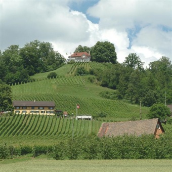 Ansicht Thurberg