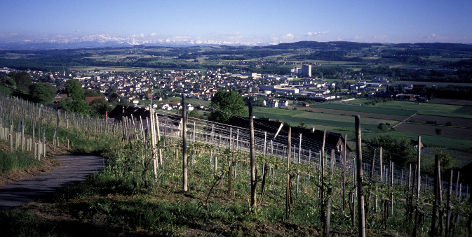 Restaurant Thurberg